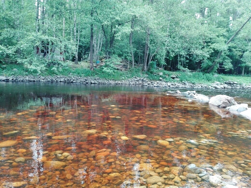 Salmelankoski kunnostettu näkyvissä kutusoraikkoa